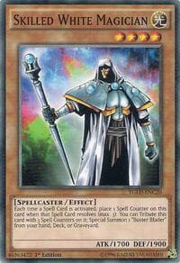 Skilled White Magician