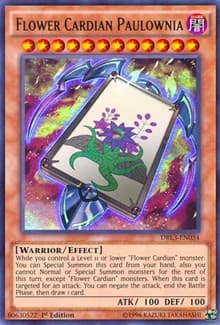 Flower Cardian Paulownia