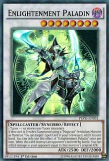 Enlightenment Paladin