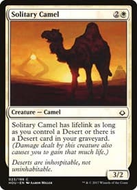 Solitary Camel