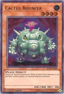 Cactus Bouncer
