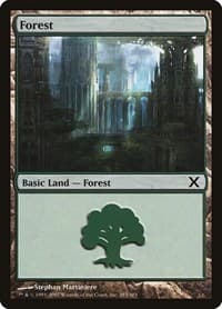 Forest (383)