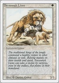 Savannah Lions