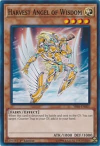 Harvest Angel of Wisdom