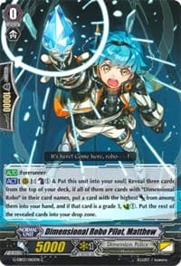 Dimensional Robo Pilot, Matthew