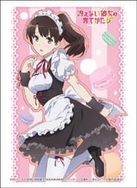 Bushiroad Sleeve Collection HG Vol.1325: Saekano: How to Raise a Boring Girlfriend Flat - Megumi Kato (60-Pack)