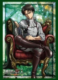 Bushiroad Sleeve Collection HG Vol.1352: Attack on Titan - Levi (60-Pack)