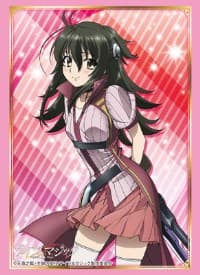 Bushiroad Sleeve Collection HG Vol.1369: Knight's & Magic - Adeltrud Alter (60-Pack)