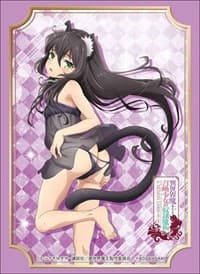 Bushiroad Sleeve Collection HG Vol.1682: How NOT to Summon a Demon Lord - Rem Galleu (60-Pack)