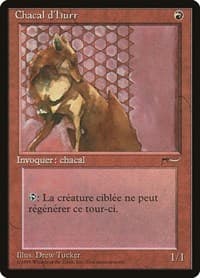 Hurr Jackal (French) - "Chacal d'Hurr"