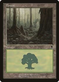 Forest (348)