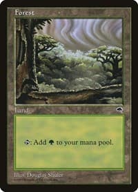 Forest (Cloudy)