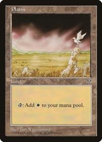 Plains (Bird)