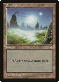 Swamp (Foggy Night)