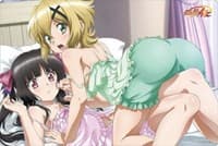 Bushiroad Rubber Mat Collection Vol.290: Senki Zessho Symphogear AXZ - Shirabe & Kirika