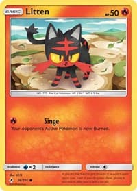 Litten (26)