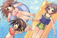 Bushiroad Rubber Mat Collection Vol.324: Kadokawa Sneaker Bunko - The Melancholy of Haruhi Suzumiya