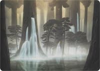 Waterlogged Grove (Art Series)