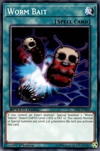 Worm Bait