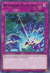 Network Trap Hole