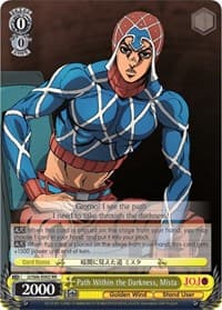 Path Within the Darkness, Mista