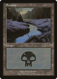 Swamp - Ardennes Fagnes