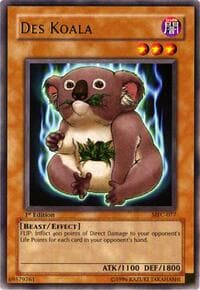 Des Koala