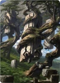 Forest Art Card (20/81)