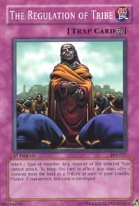 The Regulation of Tribe