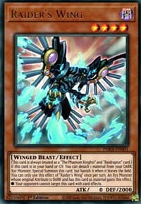 Raider's Wing