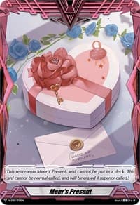 Meer's Present