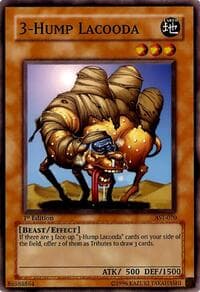 3-Hump Lacooda