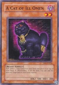 A Cat of Ill Omen
