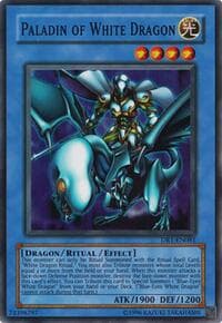 Paladin of White Dragon
