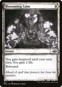Blossoming Calm (Showcase)