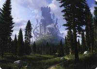 Forest (61/81) Art Card