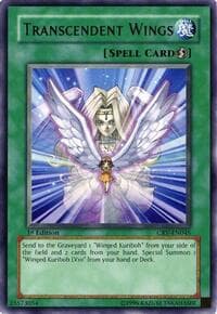 Transcendent Wings