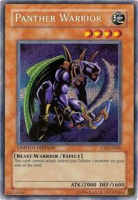 Panther Warrior