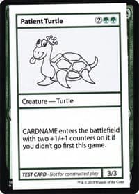 Patient Turtle (No PW Symbol)