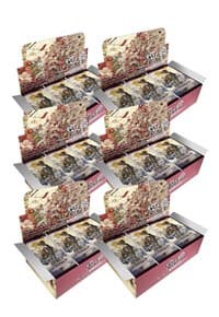 Aces of the Cosmos, Assemble! Booster Box Case