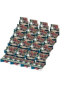 Advance of Intertwined Stars Booster Box Case