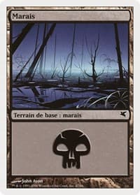 Swamp (French) - "Marais" (F47)
