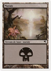 Swamp (French) - "Marais" (F21)