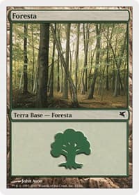 Forest (Italian) - "Foresta" (B33)