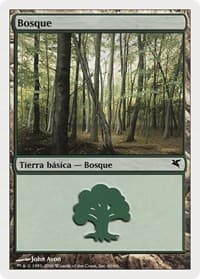 Forest (Spanish) - "Bosque" (D60)