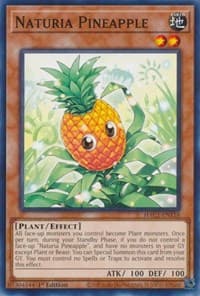 Naturia Pineapple