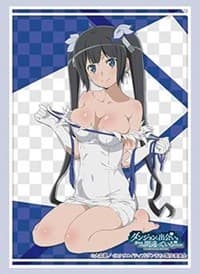 Bushiroad Sleeve Collection HG Vol. 3114: Is It Wrong to Try to Pick Up Girls in a Dungeon? - Hestia (75-Pack)