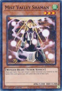 Mist Valley Shaman (Duel Terminal)