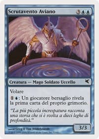 Aven Windreader (Italian) - "Scrutavento Aviano"