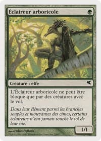 Treetop Scout (French) - "Éclaireur arboricole"